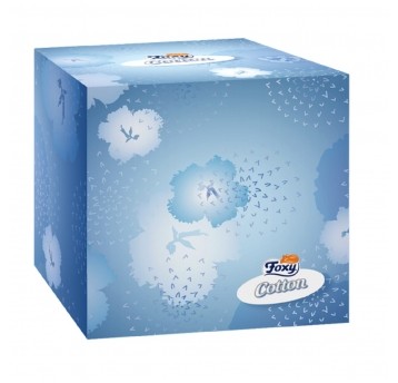 Chusteczki higieniczne Foxy w kartoniku 3warstwowe 60szt.