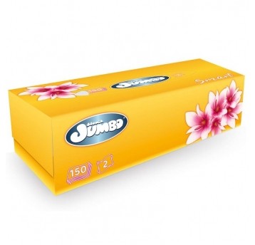 Chusteczki higieniczne Jumbo w kartoniku 2warstwowe 150szt.