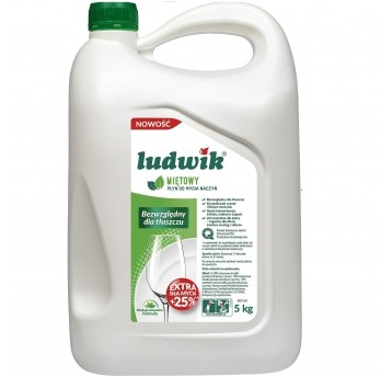 Ludwik płyn do naczyń miętowy 5L
