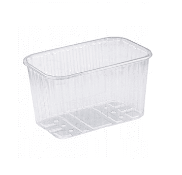 Maxipack pojemnik PET na owoce 1000g